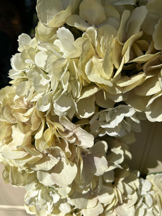 SUMPTUOUS SILK HYDRANGEA WREATH- Cream