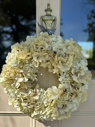SUMPTUOUS SILK HYDRANGEA WREATH- Cream