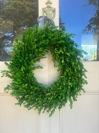 'Real' everlasting Buxus hedging wreath- 45cm
