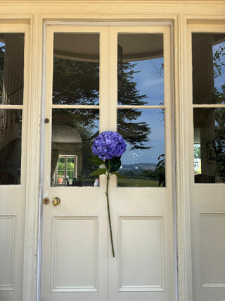 Very Large Blue Hydrangea stem L95cm, Headsize 28cm