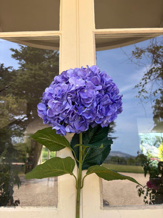 Very Large Blue Hydrangea stem L95cm, Headsize 28cm