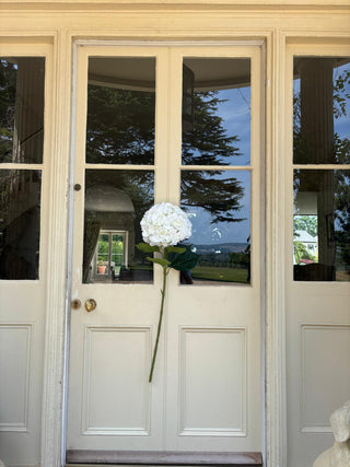 Very Large White Hydrangea stem L95CM, Headsize 28cm