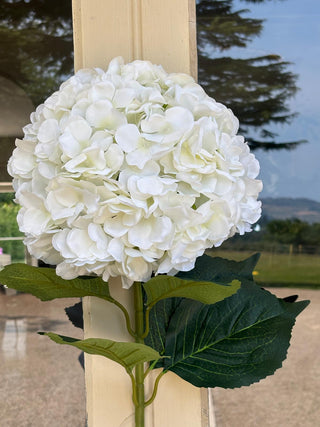 Very Large White Hydrangea stem L95CM, Headsize 28cm