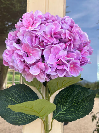 Very Large Lilac Hydrangea stem L95cm, Headsize 28cm