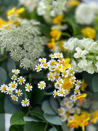 Delicious Daffodils - Scented Bouquet, close up