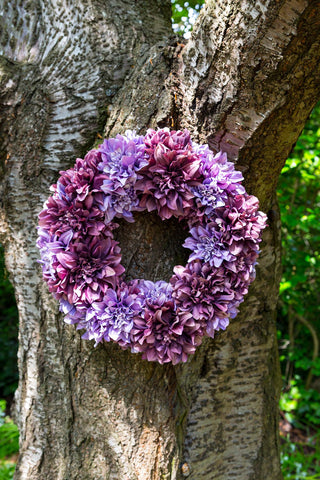Dahlia Wreath - Purple
